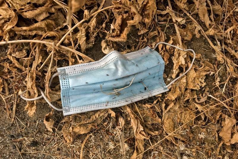 A blue disposable face mask sits on the ground amid dried leaves